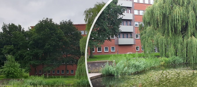 Werken bij Maccs.jpg